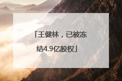 王健林，已被冻结4.9亿股权