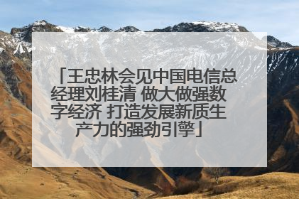 王忠林会见中国电信总经理刘桂清 做大做强数字经济 打造发展新质生产力的强劲引擎