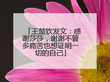王楚钦发文：感谢莎莎，谢谢不管多痛苦也想证明一切的自己