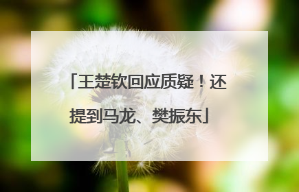王楚钦回应质疑！还提到马龙、樊振东