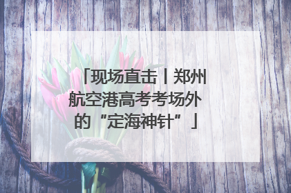 现场直击丨郑州航空港高考考场外的“定海神针”
