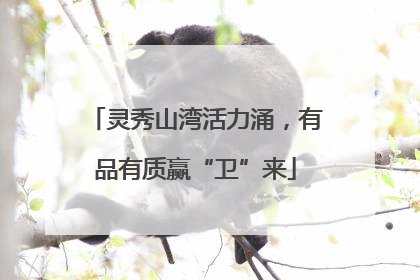 灵秀山湾活力涌，有品有质赢“卫”来