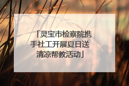 灵宝市检察院携手社工开展夏日送清凉帮教活动