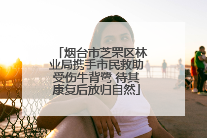 烟台市芝罘区林业局携手市民救助受伤牛背鹭 待其康复后放归自然