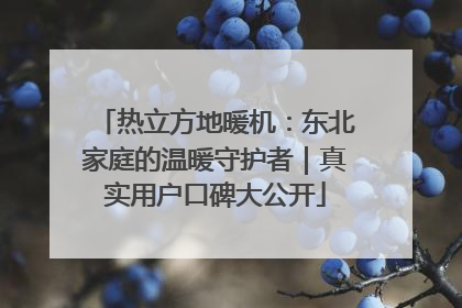 热立方地暖机：东北家庭的温暖守护者｜真实用户口碑大公开