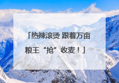 热辣滚烫 跟着万亩粮王“抢”收麦！