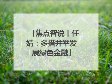 焦点智说丨任婧：多措并举发展绿色金融