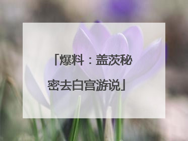 爆料：盖茨秘密去白宫游说