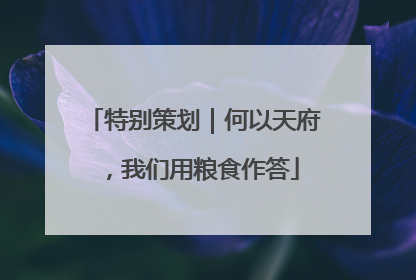 特别策划｜何以天府，我们用粮食作答