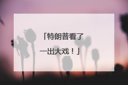 特朗普看了一出大戏！