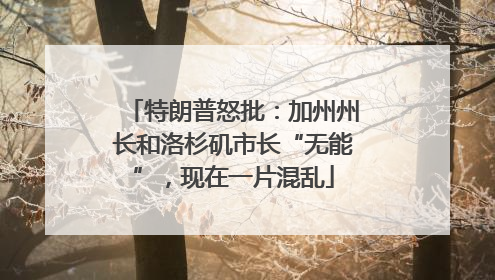 特朗普怒批：加州州长和洛杉矶市长“无能”，现在一片混乱