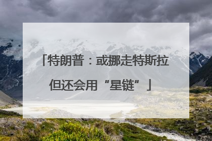特朗普：或挪走特斯拉 但还会用“星链”