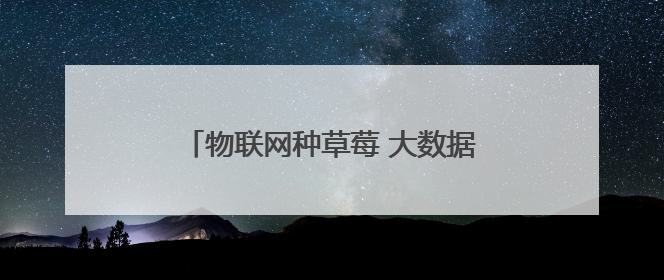 物联网种草莓 大数据卖黄瓜 临沂“四雁孵化”工程链动乡村共富