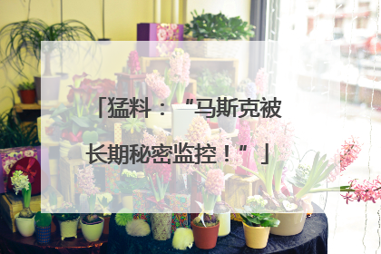 猛料：“马斯克被长期秘密监控！”