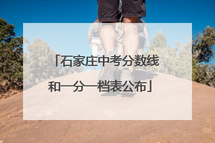 石家庄中考分数线和一分一档表公布