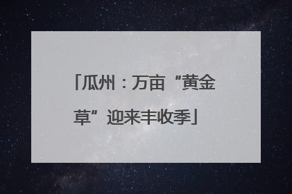 瓜州：万亩“黄金草”迎来丰收季