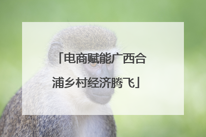 电商赋能广西合浦乡村经济腾飞