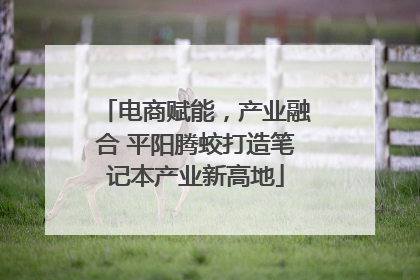 电商赋能，产业融合 平阳腾蛟打造笔记本产业新高地