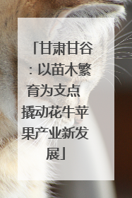 甘肃甘谷：以苗木繁育为支点 撬动花牛苹果产业新发展