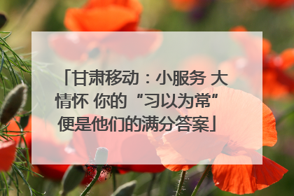 甘肃移动：小服务 大情怀 你的“习以为常”便是他们的满分答案