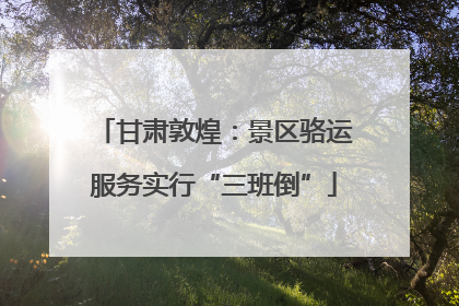甘肃敦煌：景区骆运服务实行“三班倒”