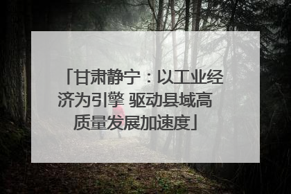 甘肃静宁：以工业经济为引擎 驱动县域高质量发展加速度