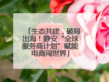 生态共建，破局出海！静安“全球服务商计划”赋能电商闯世界