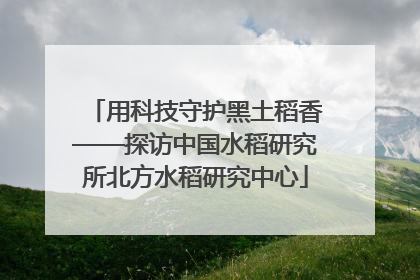 用科技守护黑土稻香——探访中国水稻研究所北方水稻研究中心