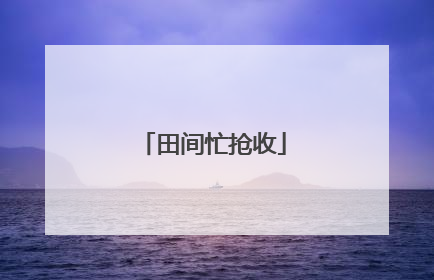 田间忙抢收