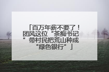 百万年薪不要了！团风这位“茶痴书记”带村民把荒山种成“绿色银行”