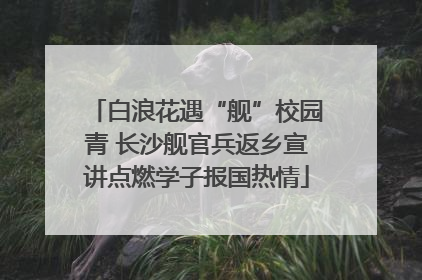 白浪花遇“舰”校园青 长沙舰官兵返乡宣讲点燃学子报国热情