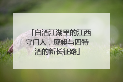 白酒江湖里的江西守门人，廖昶与四特酒的新长征路