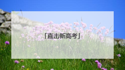 直击新高考