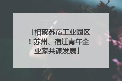 相聚苏宿工业园区！苏州、宿迁青年企业家共谋发展