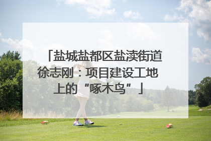 盐城盐都区盐渎街道徐志刚：项目建设工地上的“啄木鸟”