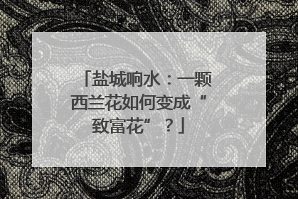 盐城响水：一颗西兰花如何变成“致富花”？