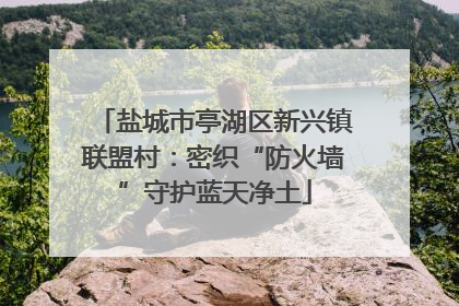 盐城市亭湖区新兴镇联盟村：密织“防火墙”守护蓝天净土