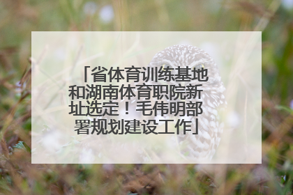省体育训练基地和湖南体育职院新址选定！毛伟明部署规划建设工作