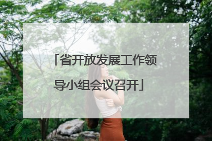 省开放发展工作领导小组会议召开