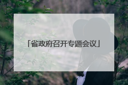 省政府召开专题会议
