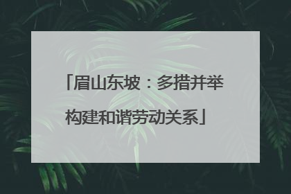 眉山东坡：多措并举构建和谐劳动关系