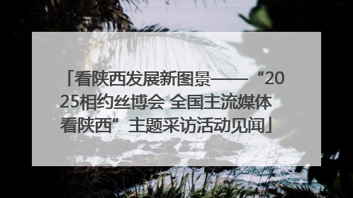 看陕西发展新图景——“2025相约丝博会 全国主流媒体看陕西”主题采访活动见闻