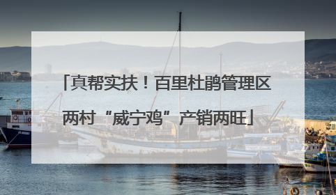 真帮实扶！百里杜鹃管理区两村“威宁鸡”产销两旺