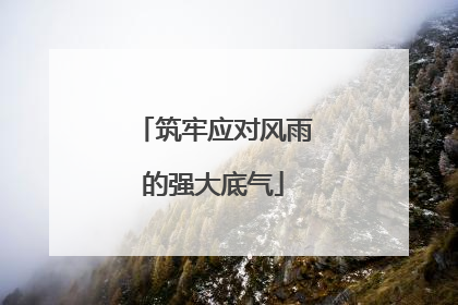 筑牢应对风雨的强大底气