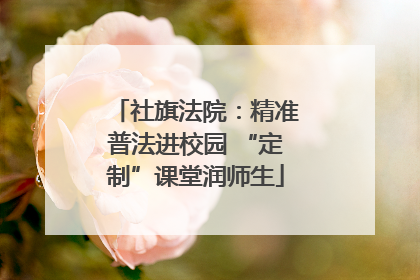 社旗法院：精准普法进校园 “定制”课堂润师生