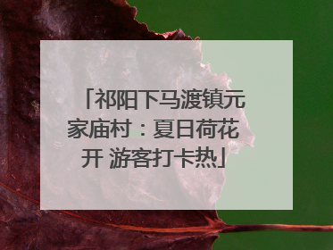 祁阳下马渡镇元家庙村：夏日荷花开 游客打卡热