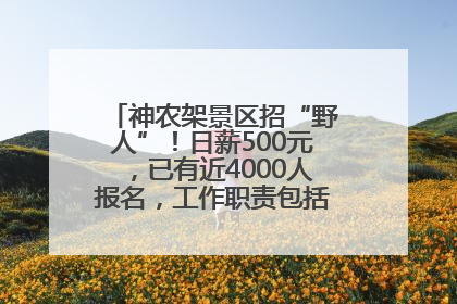 神农架景区招“野人”！日薪500元，已有近4000人报名，工作职责包括“接受游客投喂”