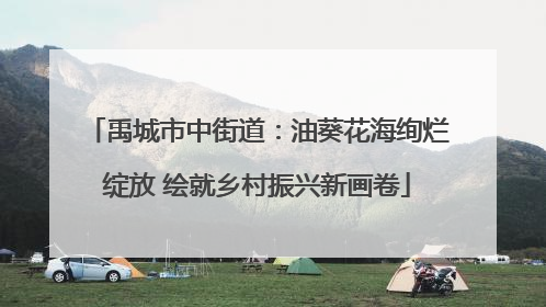 禹城市中街道：油葵花海绚烂绽放 绘就乡村振兴新画卷