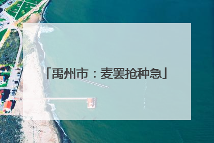 禹州市：麦罢抢种急