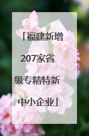 福建新增207家省级专精特新中小企业